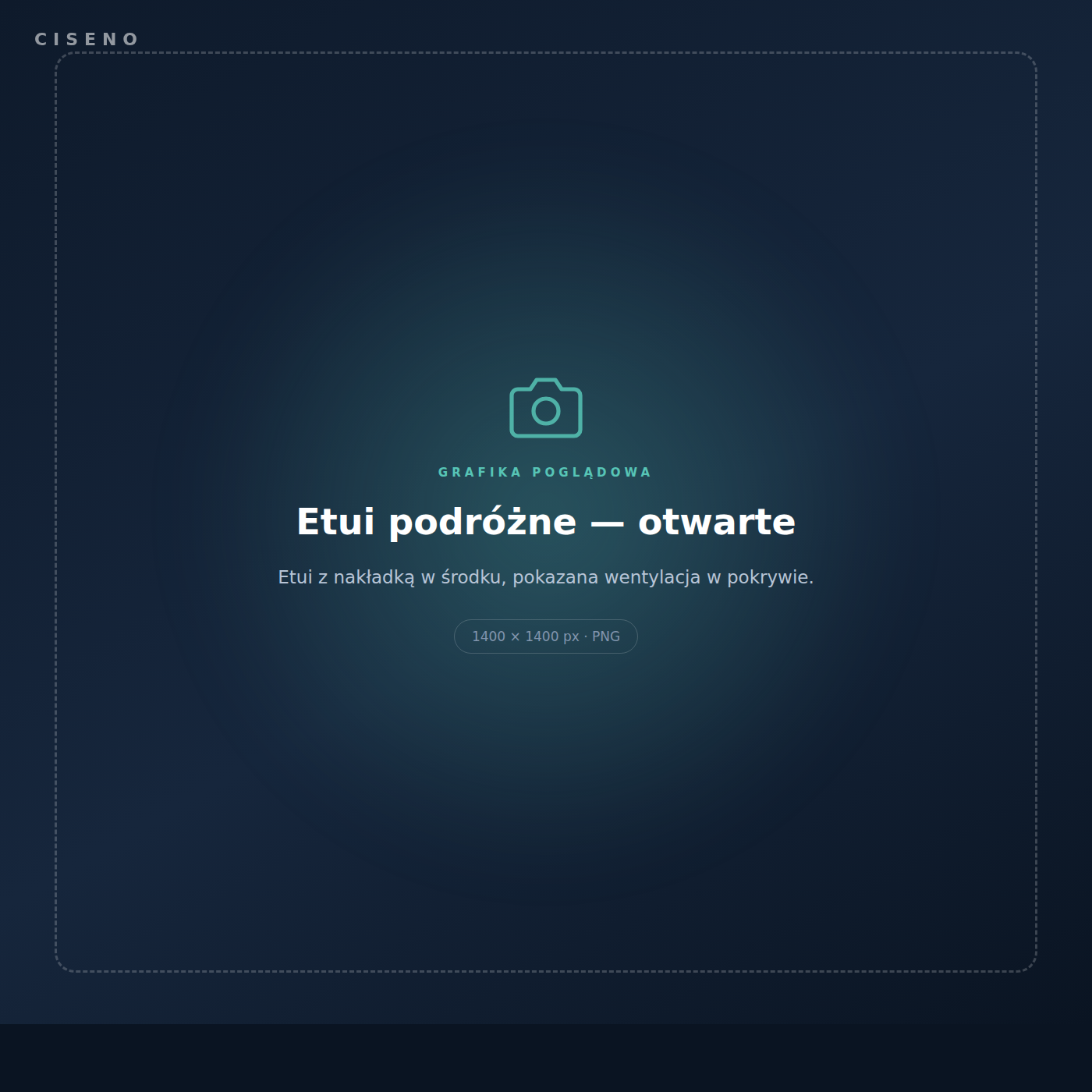 Etui podróżne Ciseno Case