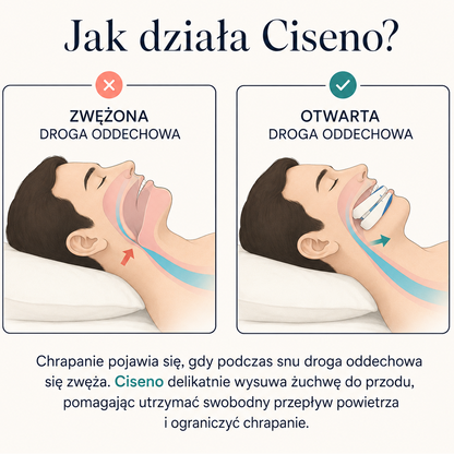 Zawartość zestawu Ciseno Pro